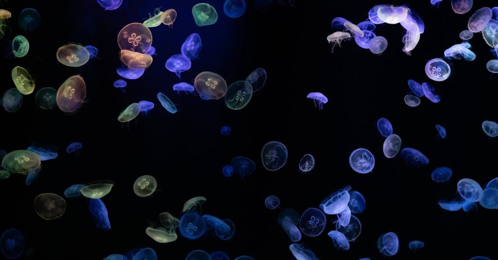 découvrez la bioluminescence, ce phénomène naturel fascinant où certains organismes émettent une lumière vive, transformant les océans et la nature en un spectacle magique.