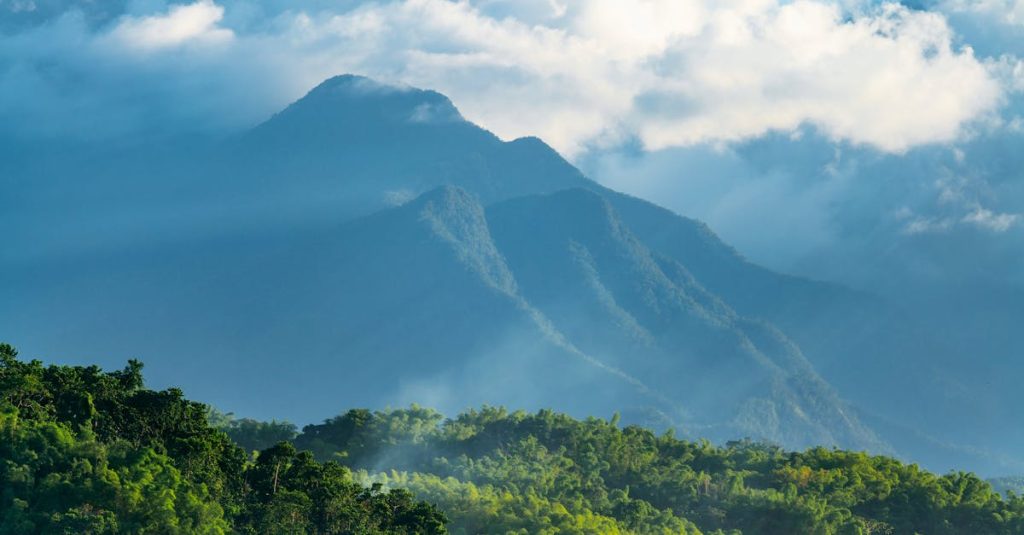 découvrez blue mountain jamaica, une région emblématique connue pour son café réputé et ses paysages naturels époustouflants en jamaïque.