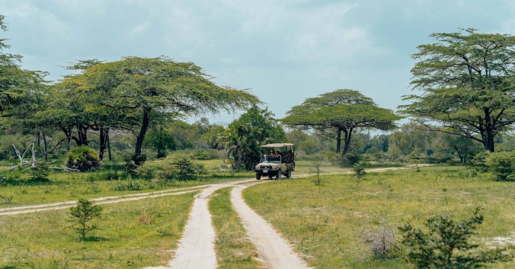découvrez notre collection de vêtements safari alliant confort, durabilité et style pour vos aventures en pleine nature.