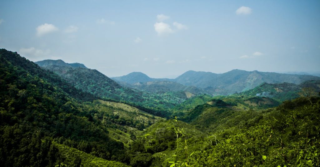 découvrez un itinéraire d'une semaine en colombie, couvrant les incontournables et les trésors cachés pour un voyage inoubliable.