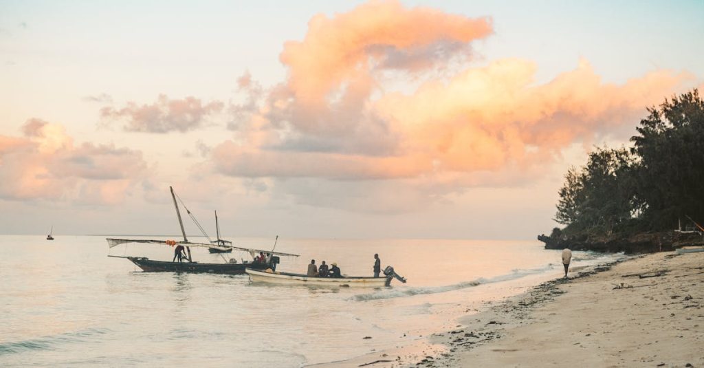 découvrez les plages paradisiaques de zanzibar, entre sable blanc, eaux turquoise et paysages exotiques pour un séjour inoubliable.