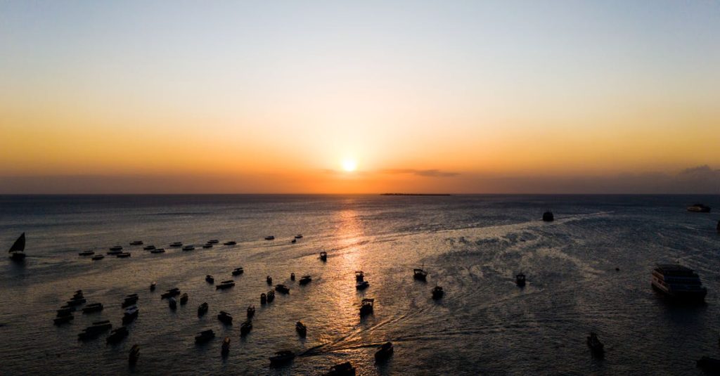 découvrez un itinéraire complet pour explorer zanzibar : plages paradisiaques, culture locale et sites incontournables pour un voyage inoubliable.