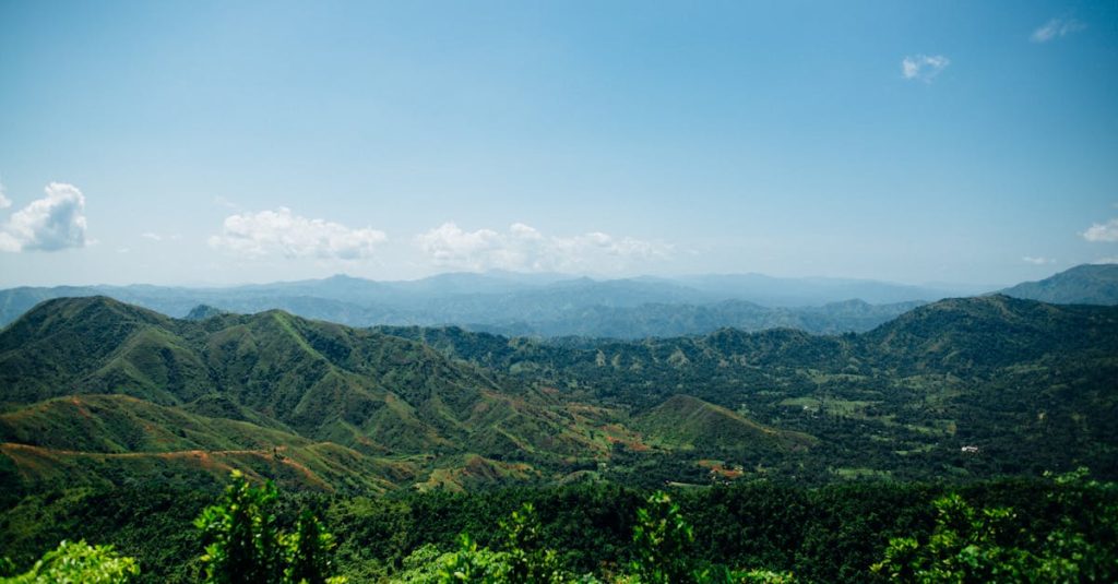 découvrez les blue mountains en jamaïque, un paradis naturel offrant des paysages à couper le souffle, des sentiers de randonnée uniques et le célèbre café blue mountain.