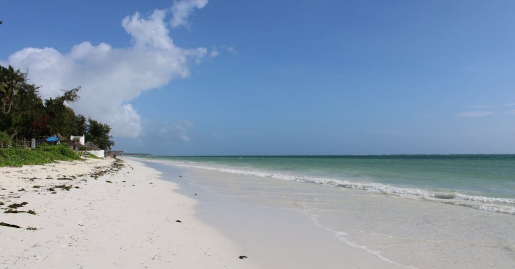 découvrez diani beach, une plage paradisiaque au sable blanc et aux eaux turquoise, idéale pour des vacances inoubliables entre détente, sports nautiques et nature préservée.