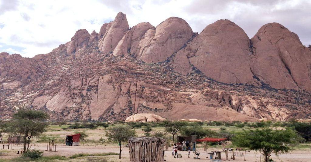 découvrez palmwag dans la région de damaraland en namibie, un lieu unique réputé pour sa faune sauvage exceptionnelle, ses paysages désertiques spectaculaires et ses formations géologiques impressionnantes.