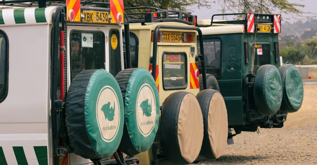 découvrez les indispensables pour votre tenue de safari : vêtements légers, résistants et adaptés à la chaleur et aux conditions de la savane pour une aventure confortable et sécurisée.