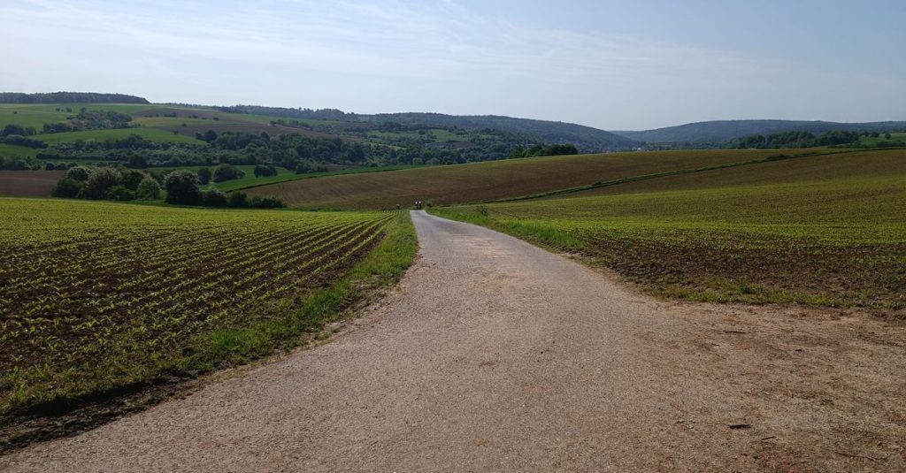 découvrez un road trip inoubliable en bourgogne, entre vignobles prestigieux, paysages pittoresques et charmants villages historiques.