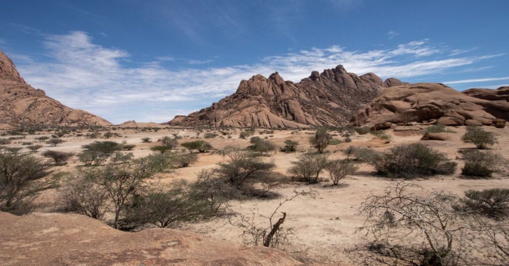 découvrez damaraland, une région fascinante offrant des paysages spectaculaires, une faune unique et une culture riche au cœur de la namibie.