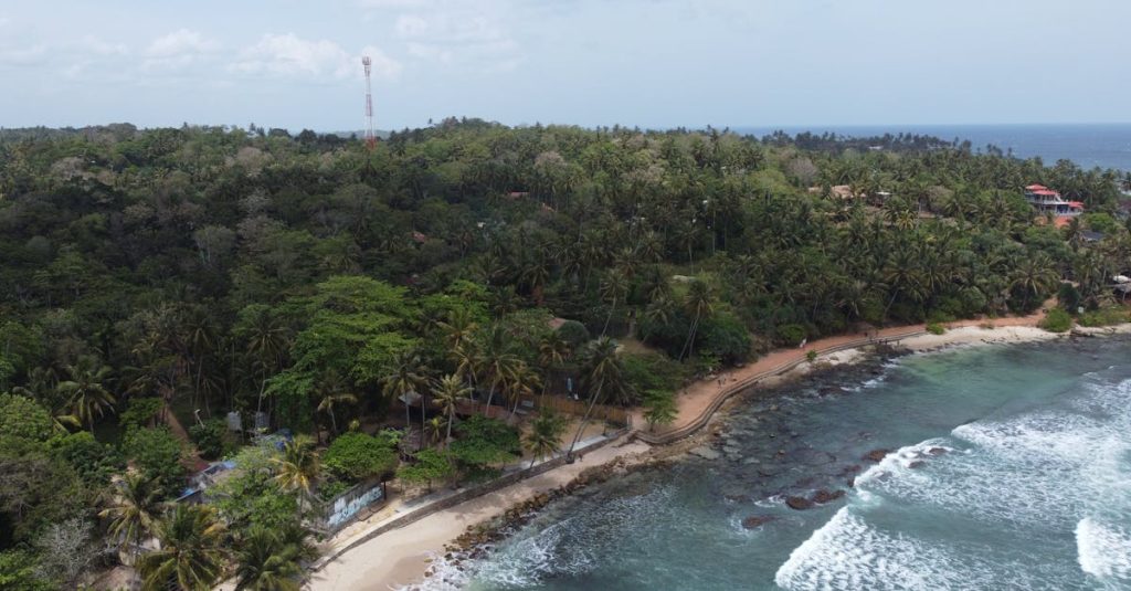 découvrez mirissa, une charmante destination balnéaire au sri lanka, réputée pour ses plages paradisiaques, ses spots de surf et ses magnifiques couchers de soleil.
