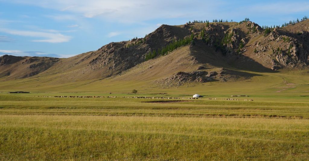 découvrez un itinéraire complet pour explorer la mongolie, entre steppes infinies, villages nomades et paysages à couper le souffle.