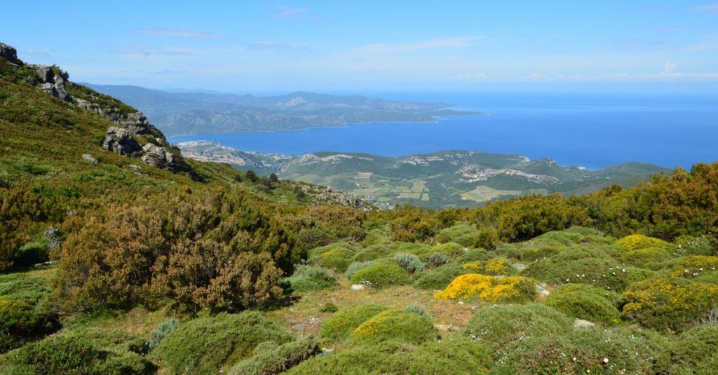 Que voir absolument au cap corse lors de votre visite 2 découvrez le cap corse, une péninsule sauvage et authentique en corse, idéale pour les amateurs de nature, randonnées, villages pittoresques et paysages méditerranéens.
