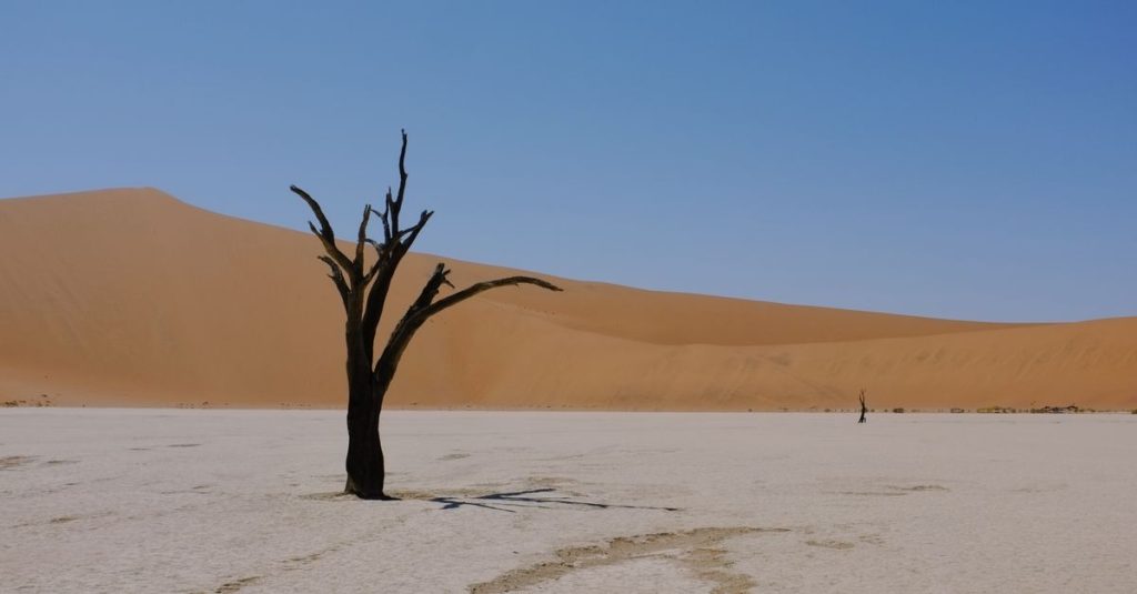 découvrez deadvlei, un ancien marécage asséché au cœur du désert du namib, célèbre pour ses arbres noirs fossilisés et son paysage saisissant entre dunes rouges et ciel bleu.