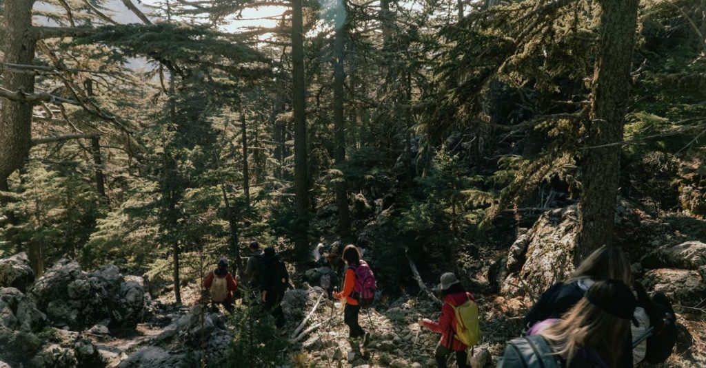 découvrez les meilleurs conseils, itinéraires et équipements pour la randonnée. profitez de la nature et vivez des aventures inoubliables en plein air.