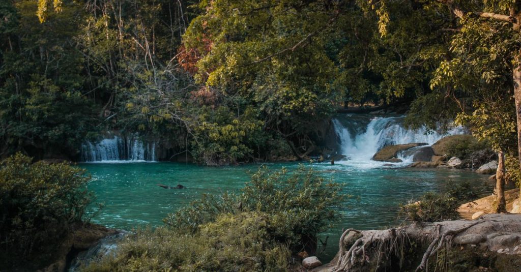 découvrez semuc champey, un trésor naturel du guatemala célèbre pour ses eaux turquoise et ses formations calcaires uniques. parfait pour les amateurs de nature et d'aventure.