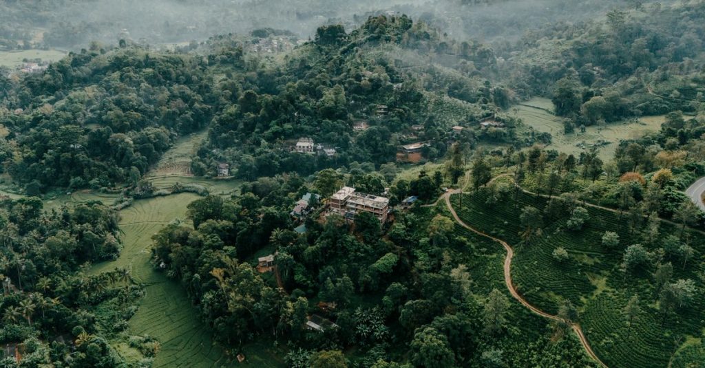 découvrez haputale, une charmante ville au sri lanka offrant des paysages naturels époustouflants, des plantations de thé luxuriantes, et une ambiance paisible idéale pour les amateurs de nature et d’aventure.