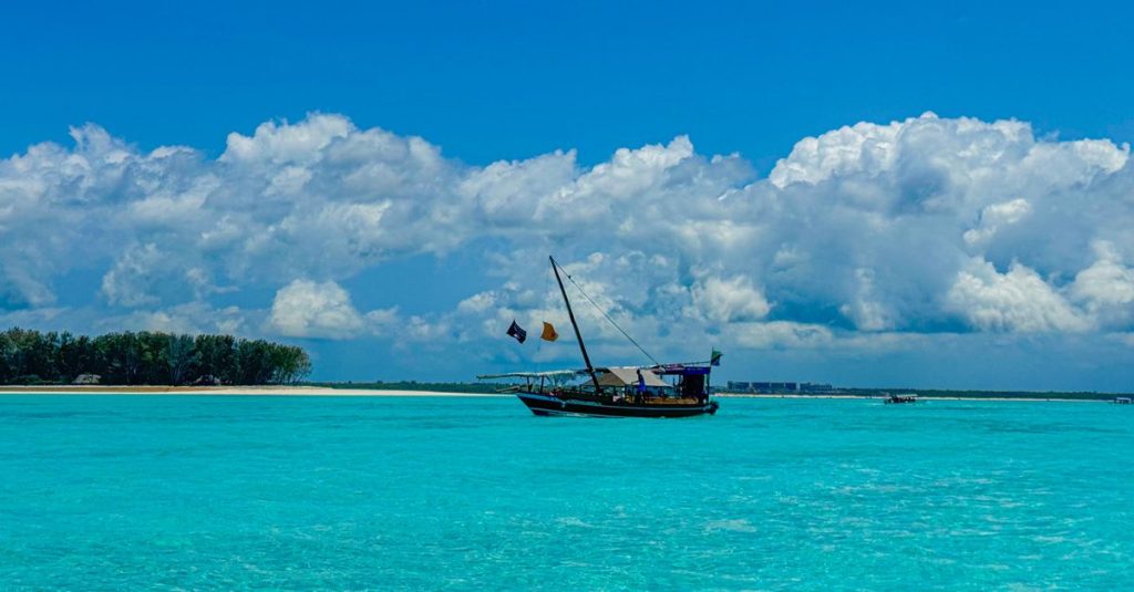 découvrez mnemba island à zanzibar, un paradis tropical prisé pour ses plages de sable blanc, ses eaux cristallines et ses activités de plongée exceptionnelles.