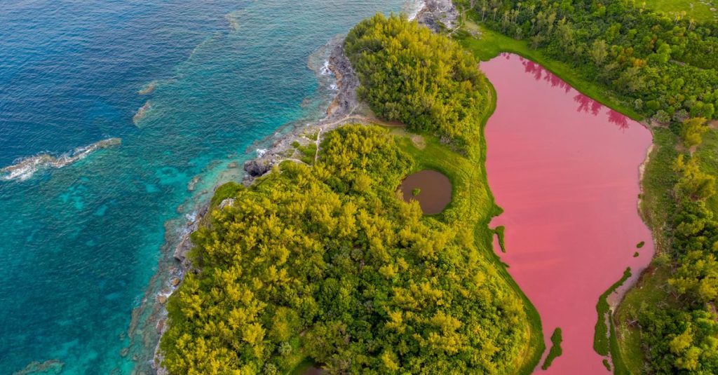 découvrez pink lagoon, un lieu enchanteur où les eaux rosées rencontrent la nature sauvage, offrant un paysage unique et spectaculaire à explorer.