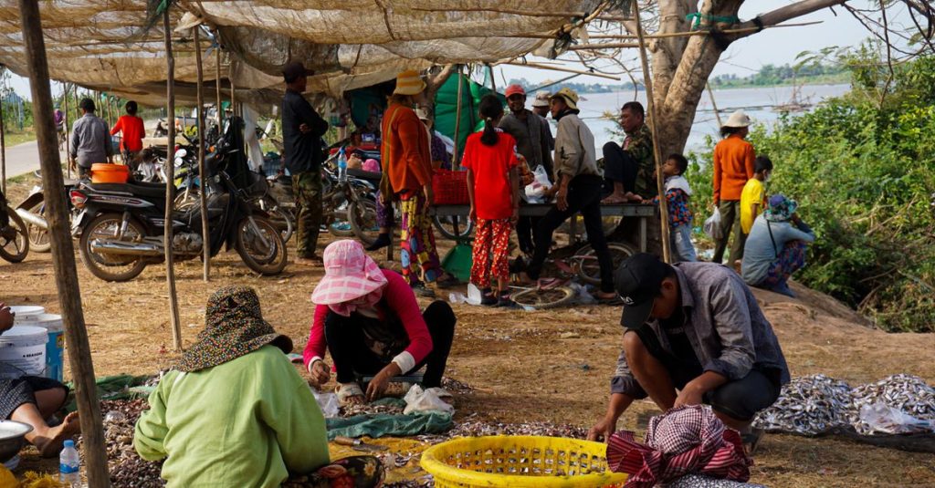 découvrez kratie, une charmante ville du cambodge connue pour ses paysages naturels, ses dauphins d'irrawaddy et son ambiance authentique.
