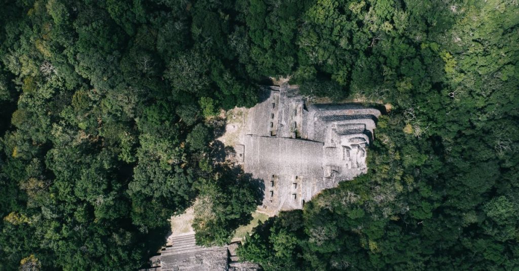 découvrez yaxha, un site archéologique maya fascinant situé au guatemala, riche en histoire, pyramides majestueuses et paysages naturels époustouflants.