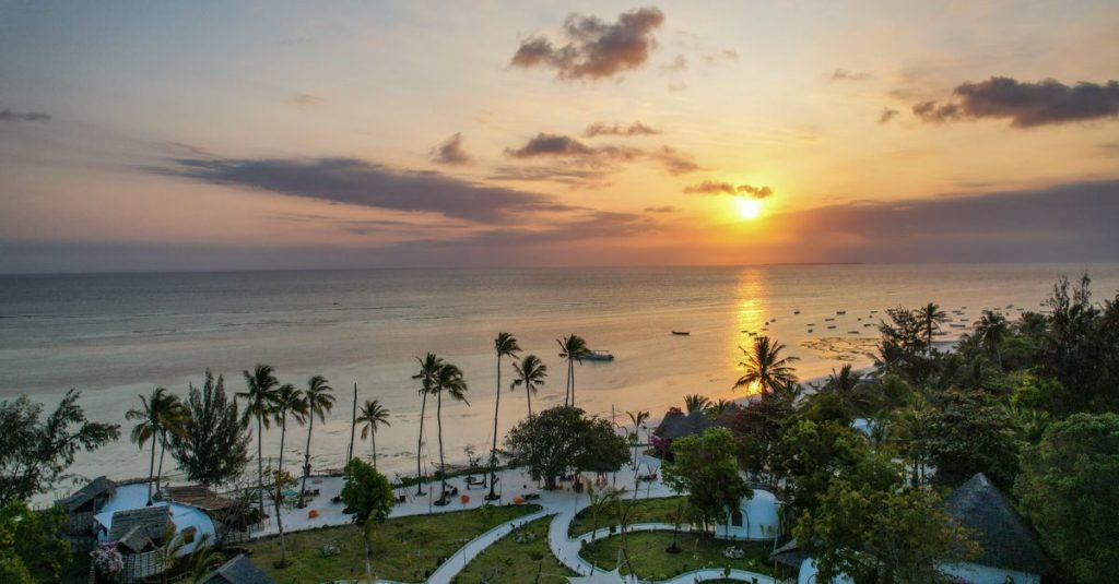 découvrez zanzibar, une île paradisiaque aux plages de sable blanc, eaux turquoise et riche culture swahilie. parfait pour des vacances inoubliables alliant détente, aventure et découverte.