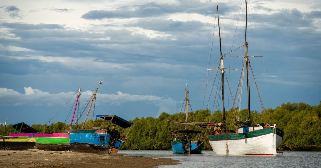 conseils essentiels pour voyager à madagascar : guide pratique, astuces culturelles et recommandations pour un séjour inoubliable.